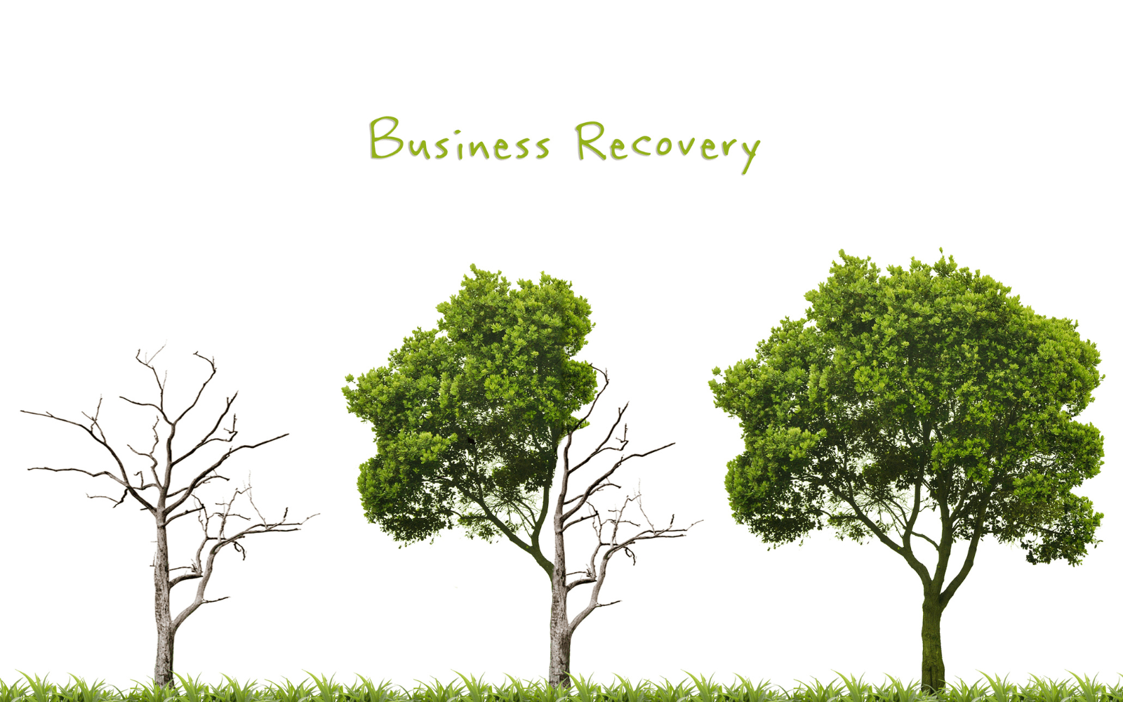 Recovery Loan Scheme